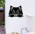 Chat curieux