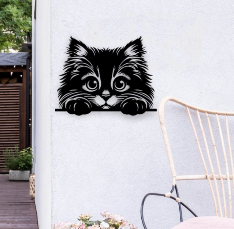Chat curieux
